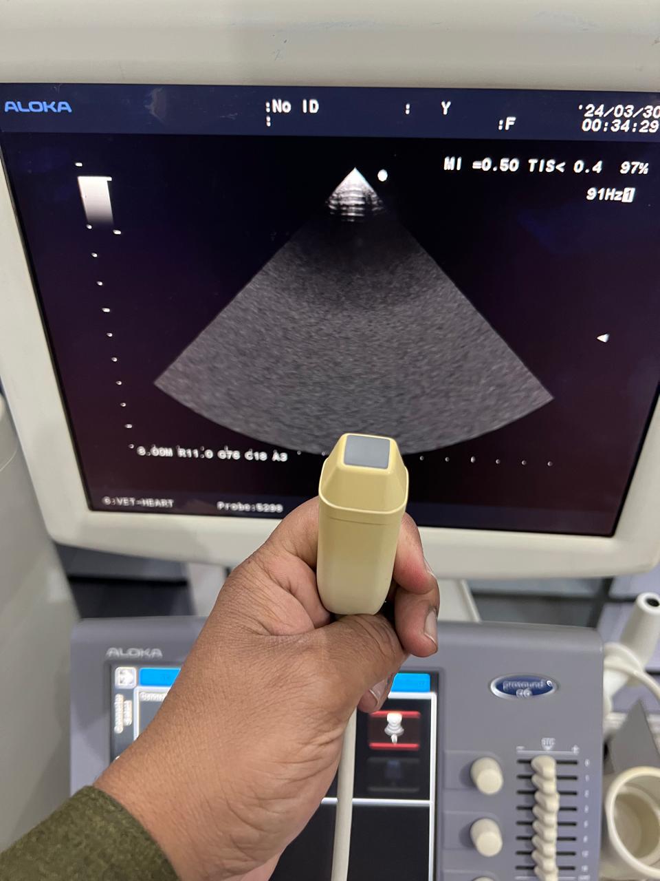 ..Aloka UST-5298 cardiac probe