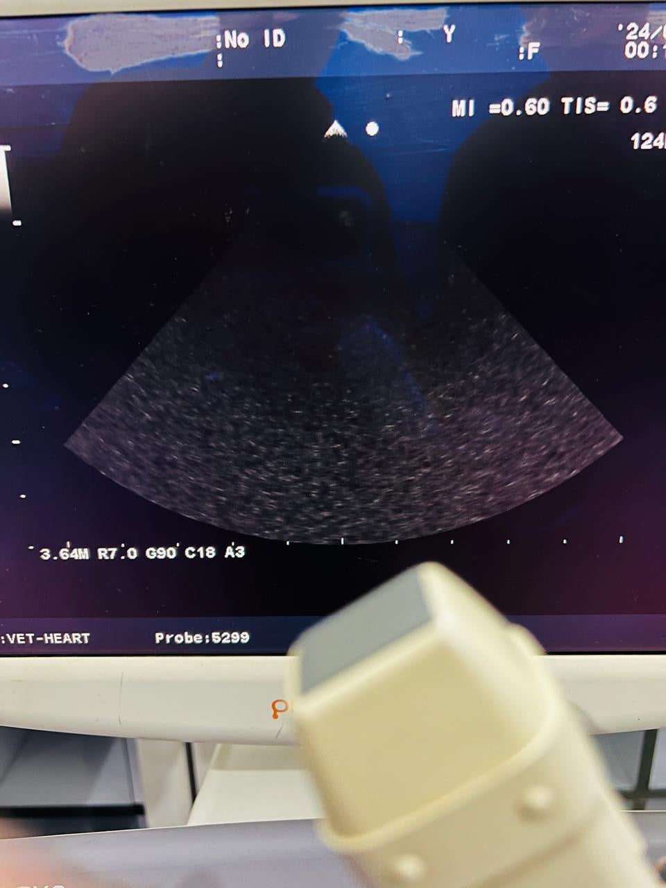 ..Aloka UST-5299 cardiac probe