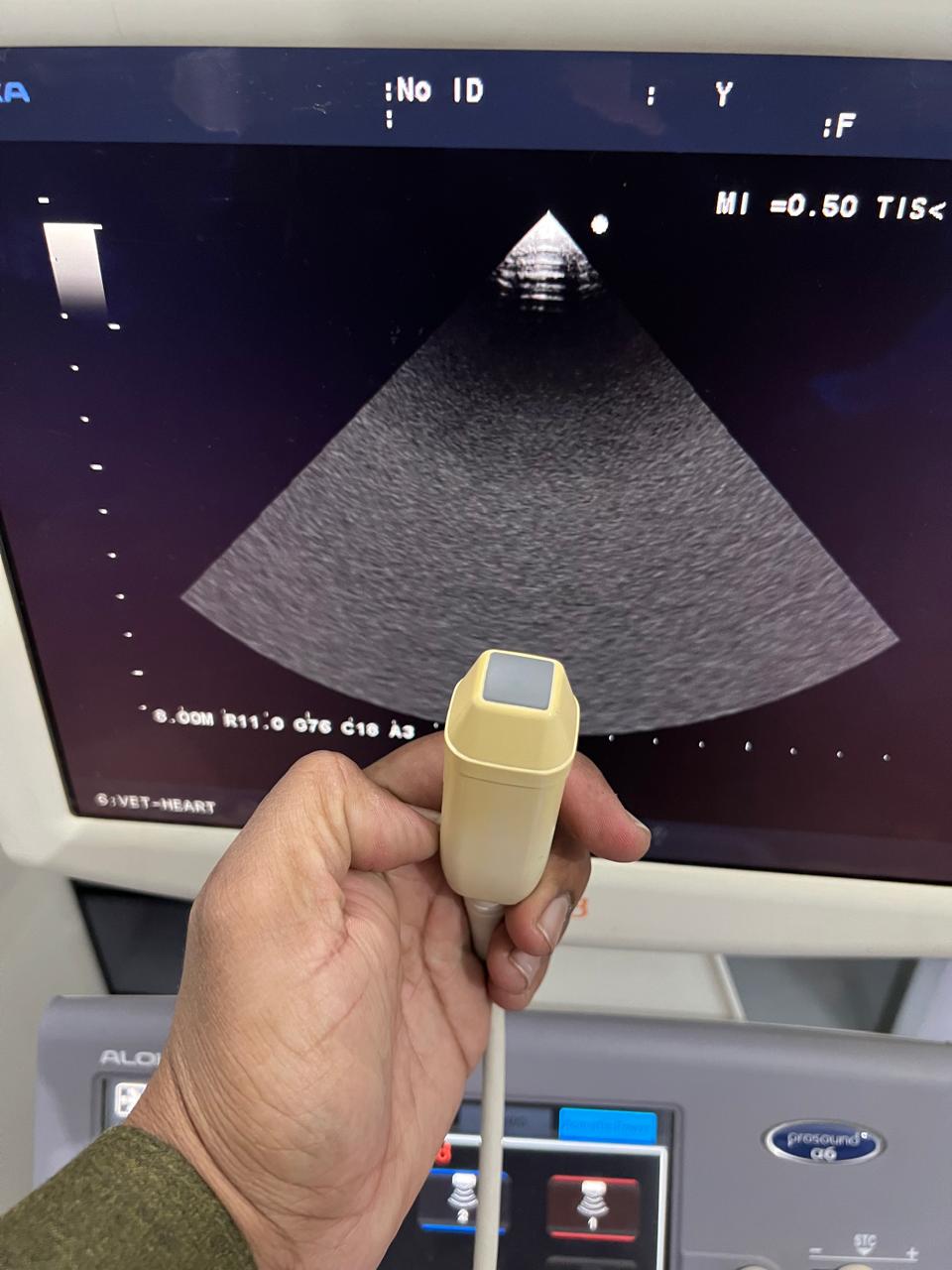 ..Aloka UST-5298 cardiac probe