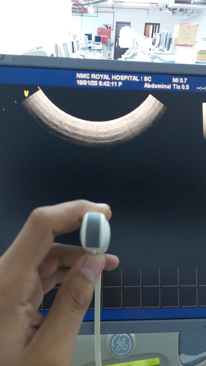 ..GE 8C micro convex array ultrasound transducer. Checked