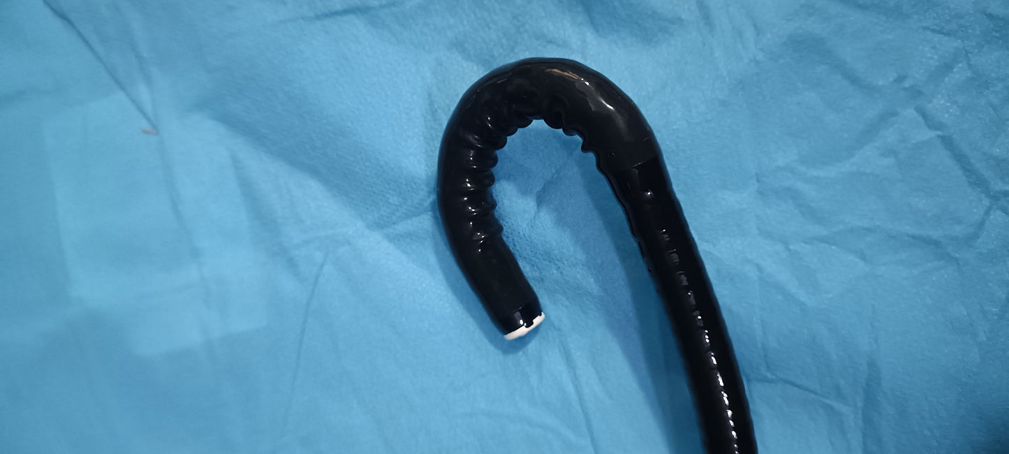 Fujinon Colonoscopy EC-590ZP S.NO: 2C671A047 checked DXB