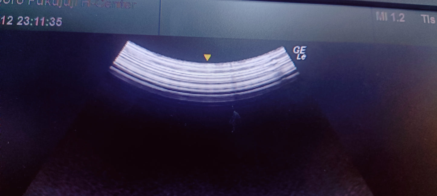 GE C1-5-RS 003 CHECKED OK DXB