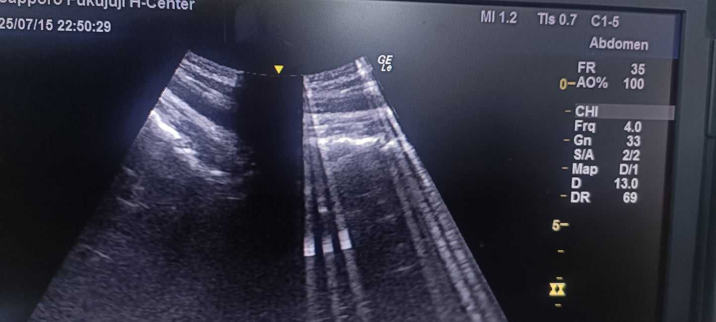 GE C1-5-RS 019 CHECKED NOT OK DXB