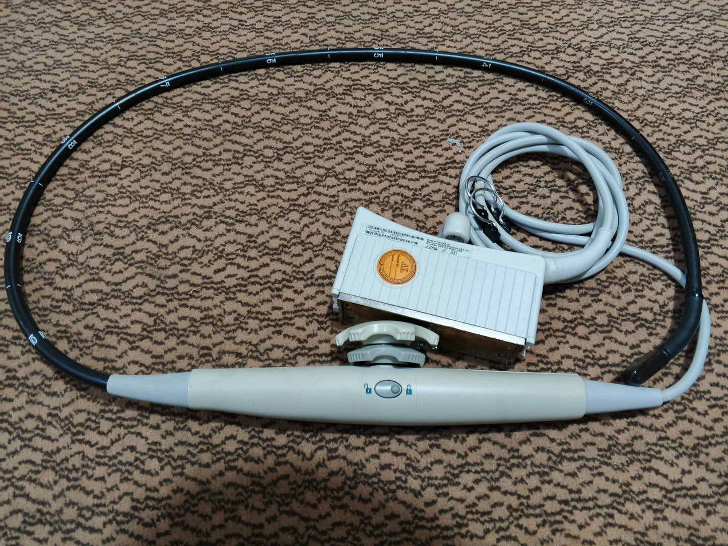 ...Siemens S2000 TE probe UC