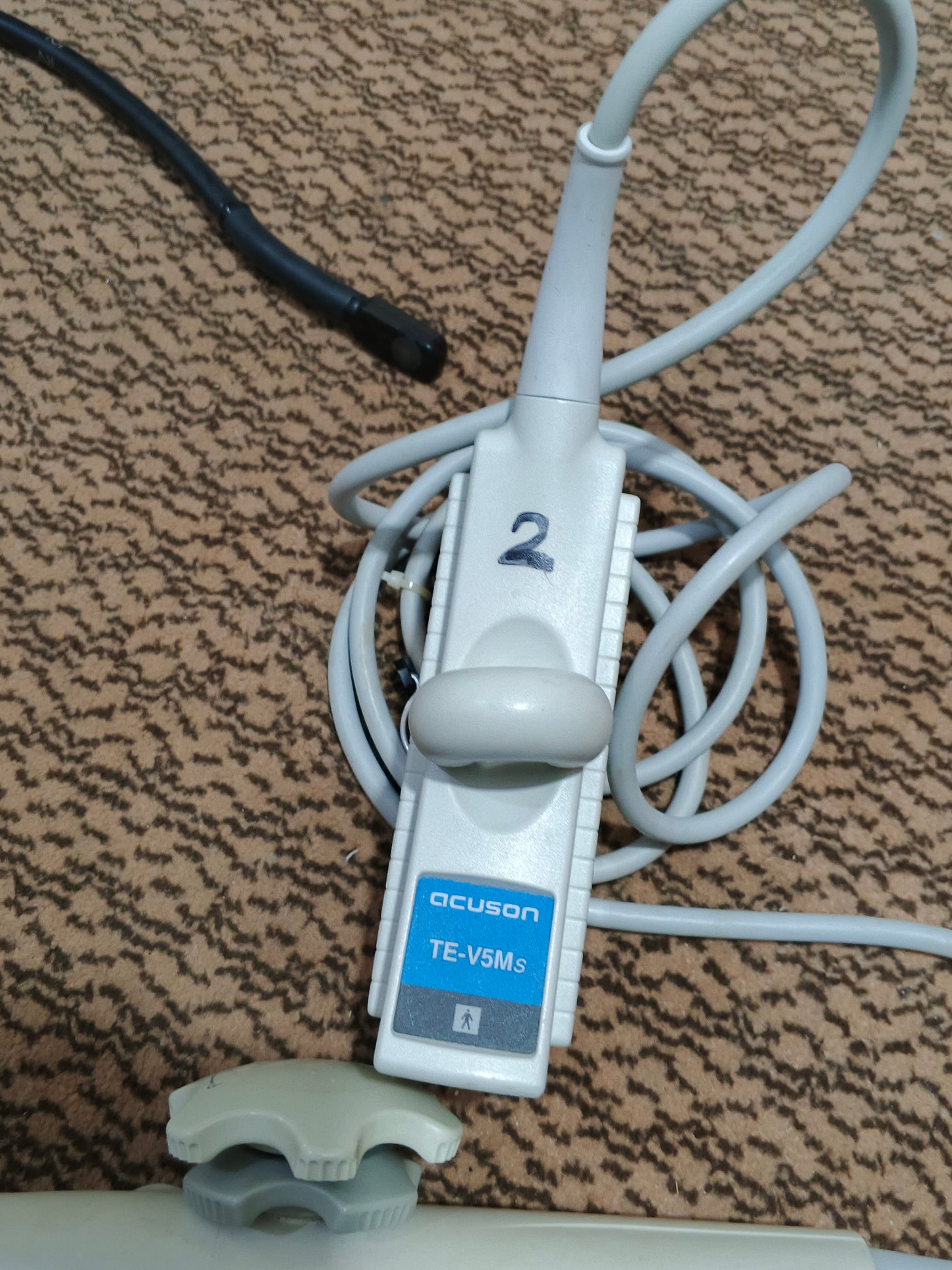 ...Siemens S2000 TE probe UC
