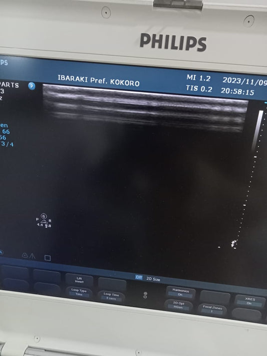 Phillips L12-3 linear transducer for CX50,