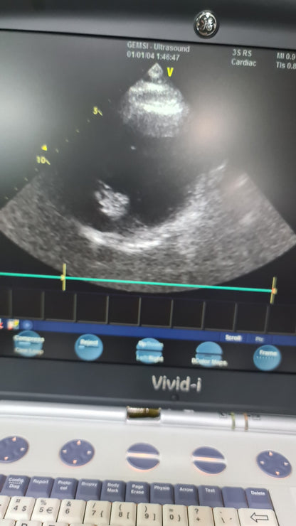 3S-RS Probed Checked Av (B)