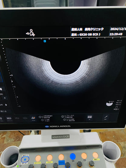 Siemens EC9-3 TVs Probe