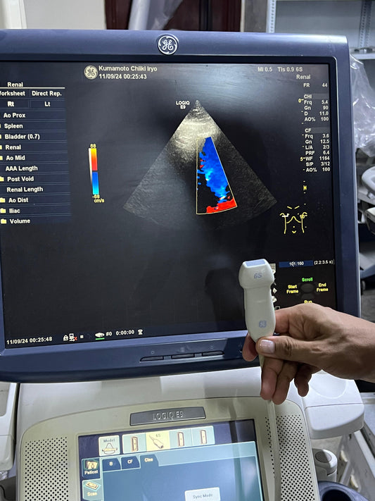 GE 6S-D Sector Array Probe Mfg: 2011