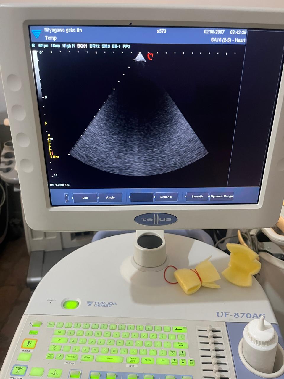 Z..Fukuda Denshi FUT-SA162-5A cardiac probe