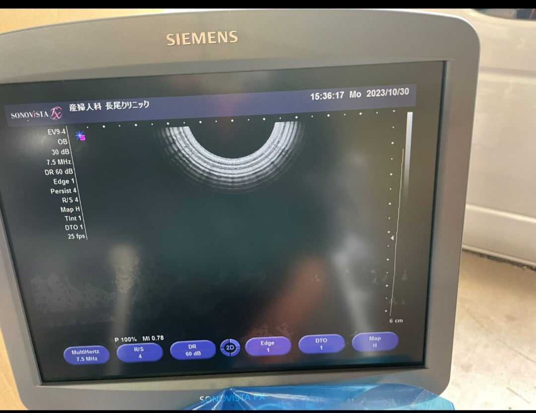 Siemens sonovista fx with 2 pcs TV probes. - Japan Medical Company LTD