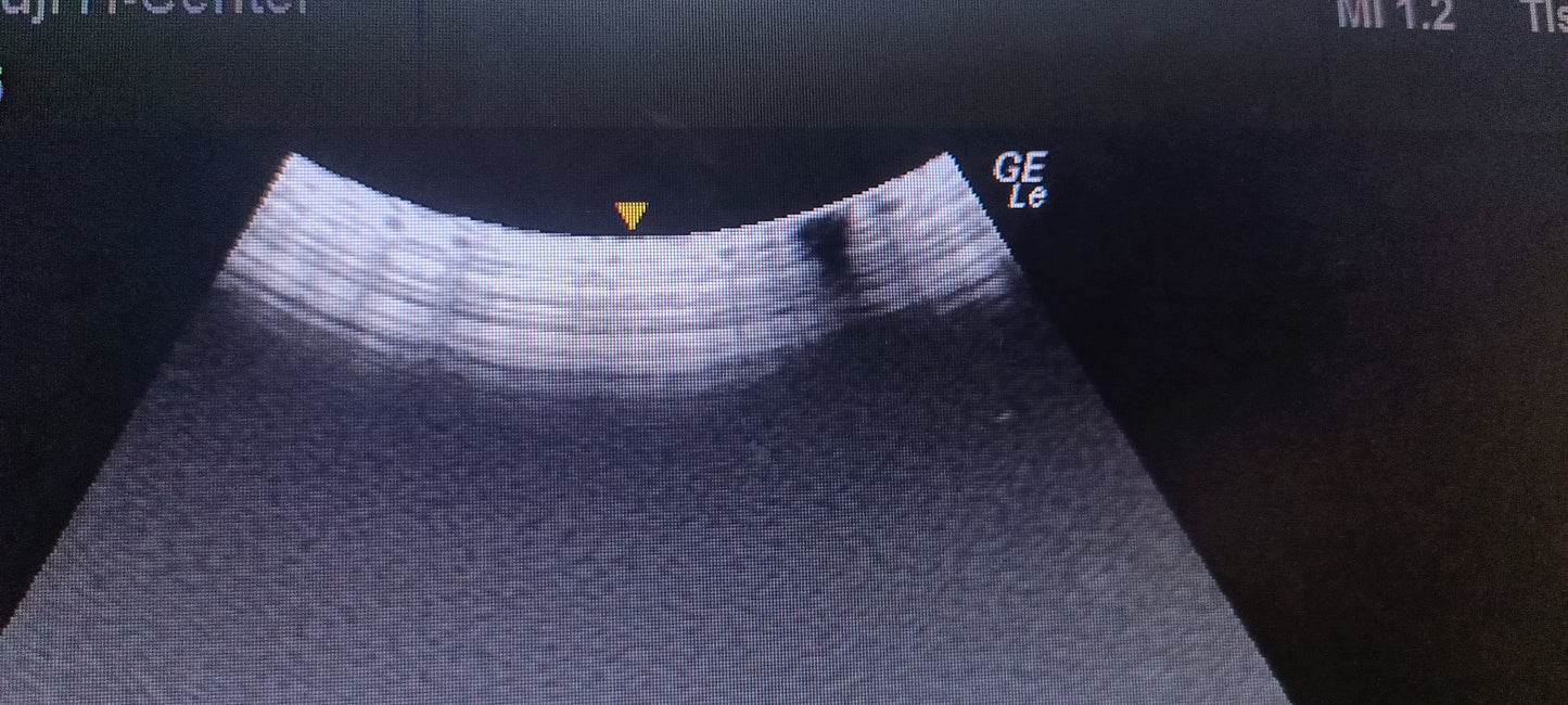 GE C1-5-RS 024 CHECKED NOT OK DXB