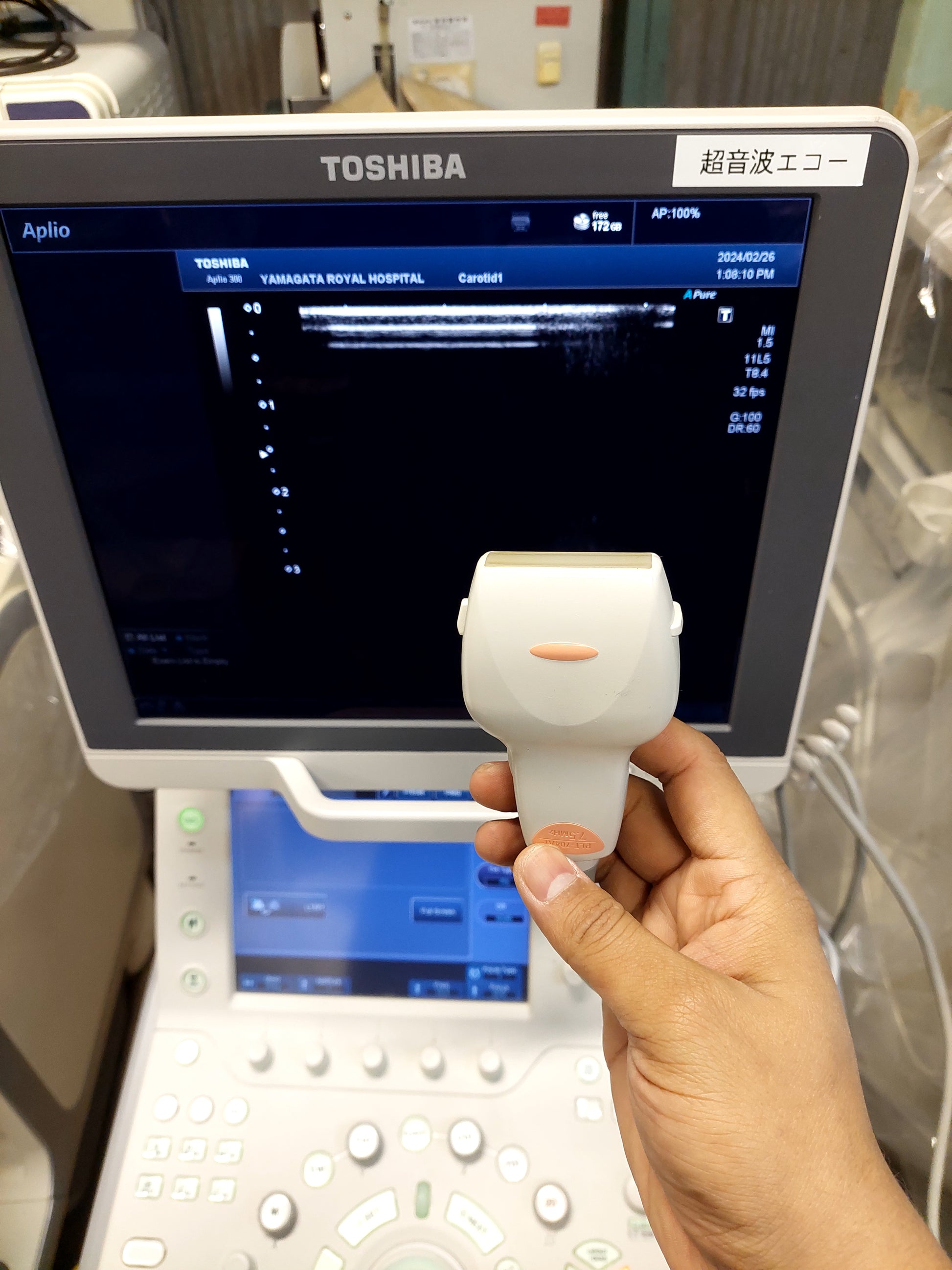 Toshiba Aplio 300 with Linear and cardiac probes. - Japan Medical Company LTD