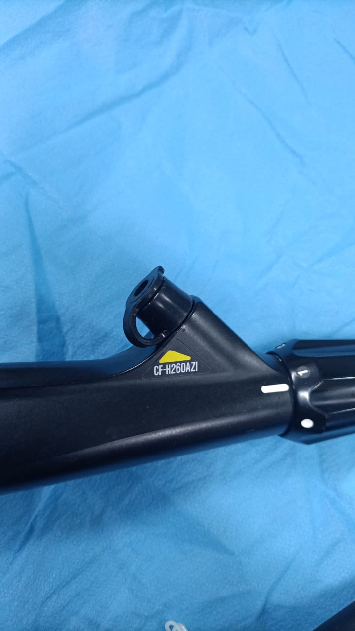 Olympus 
CF H260 AZI video colonoscope
S.No: 2002417
Checked OK DXB