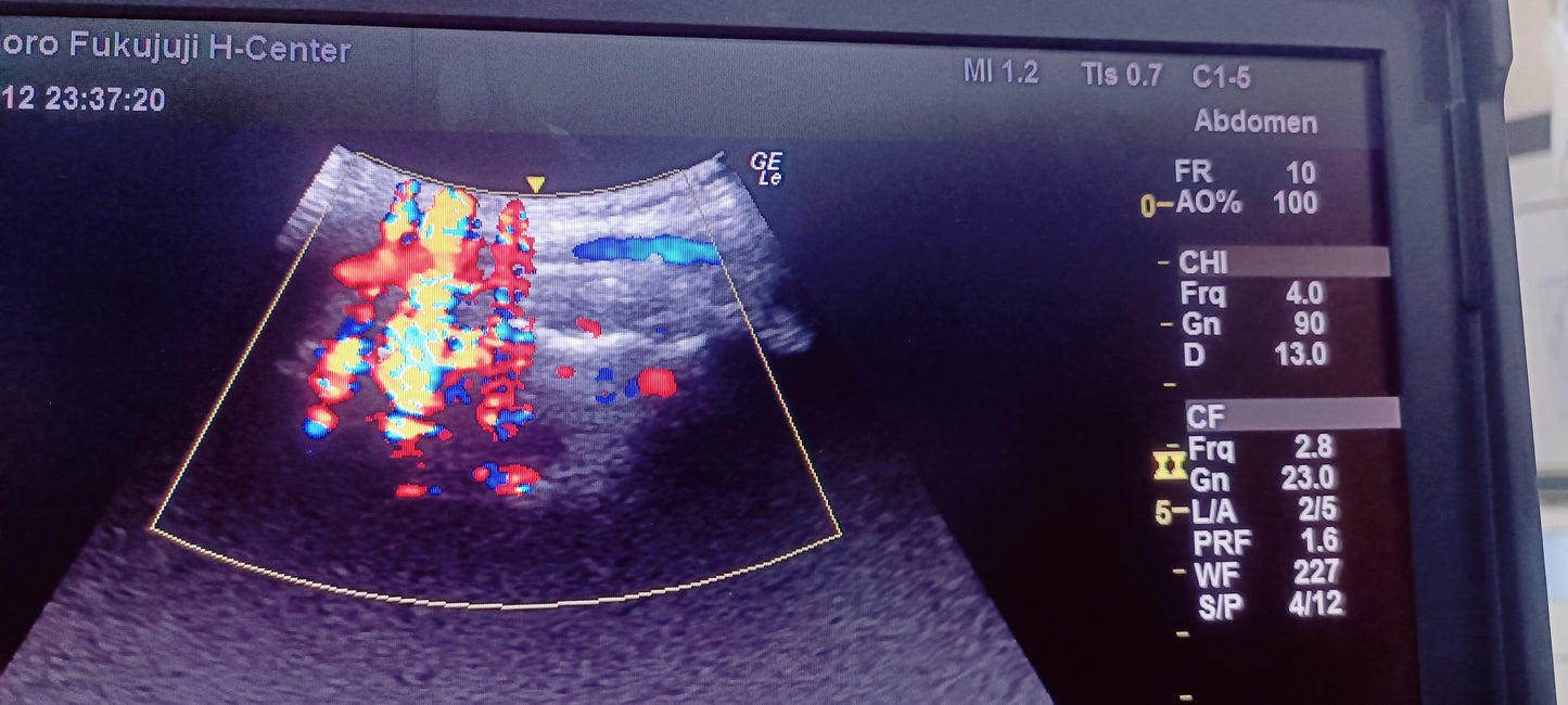 GE C1-5-RS 005 CHECKED NOT OK DXB