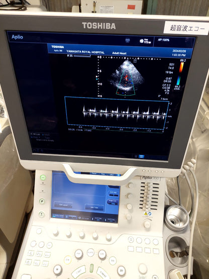 Toshiba Aplio 300 with Linear and cardiac probes. - Japan Medical Company LTD