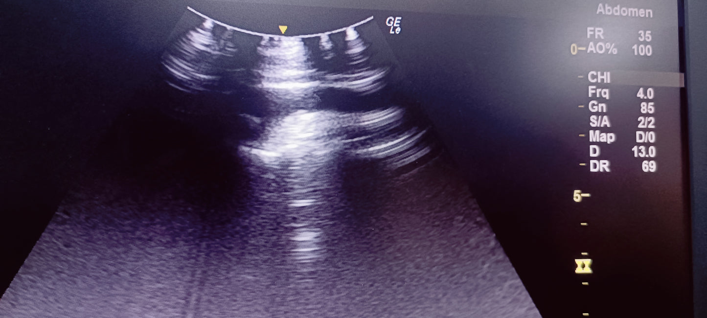 C1-5 RS Av (17) CHECKED NOT OK DXB
