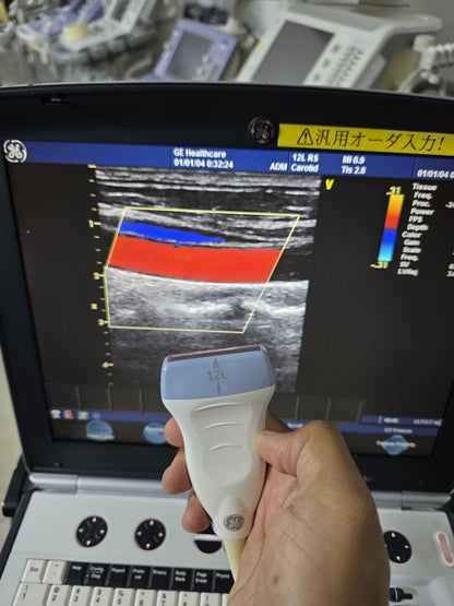 GE 12L RS linear probe SN: 132095YP1
