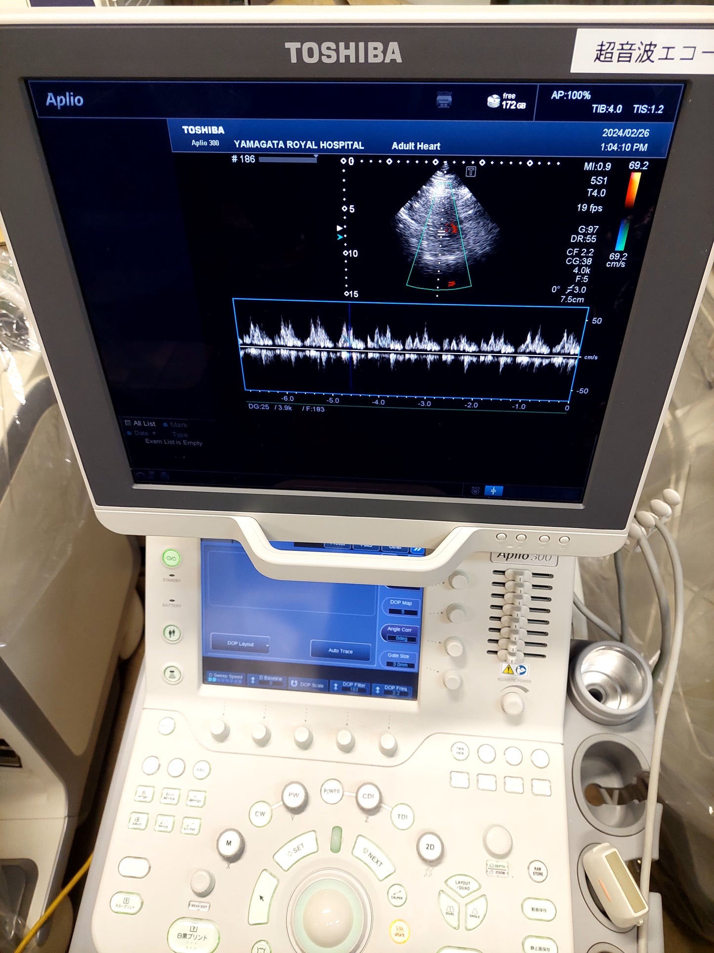 Toshiba Aplio 300 with Linear and cardiac probes. - Japan Medical Company LTD