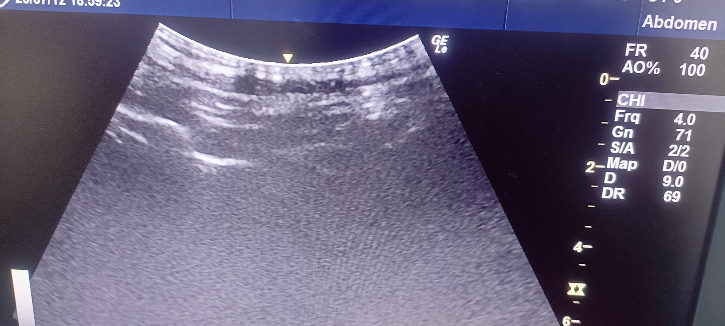 C1-5 RS Av (24) CHECKED NOT OK DXB