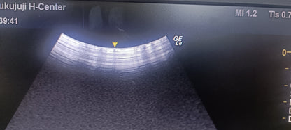 C1-5 RS   Av  (6) CHECKED OK DXB