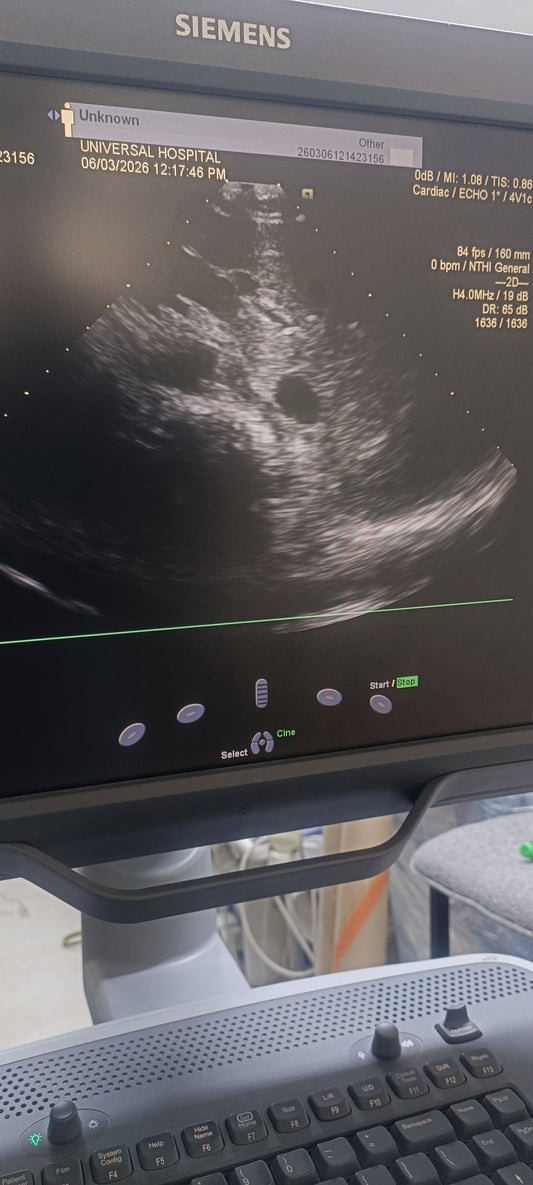 Siemens cardiac probe sn. (21)71912056 moy. 2017 checked dxb IS (MW) - Japan Medical Company LTD