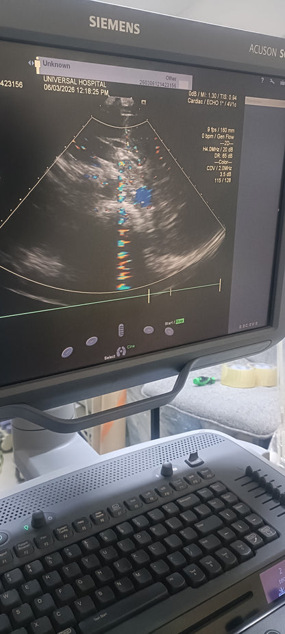 Siemens cardiac probe sn. (21)71912056 moy. 2017 checked dxb IS (MW) - Japan Medical Company LTD