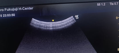 GE C1-5-RS 021 CHECKED OK DXB