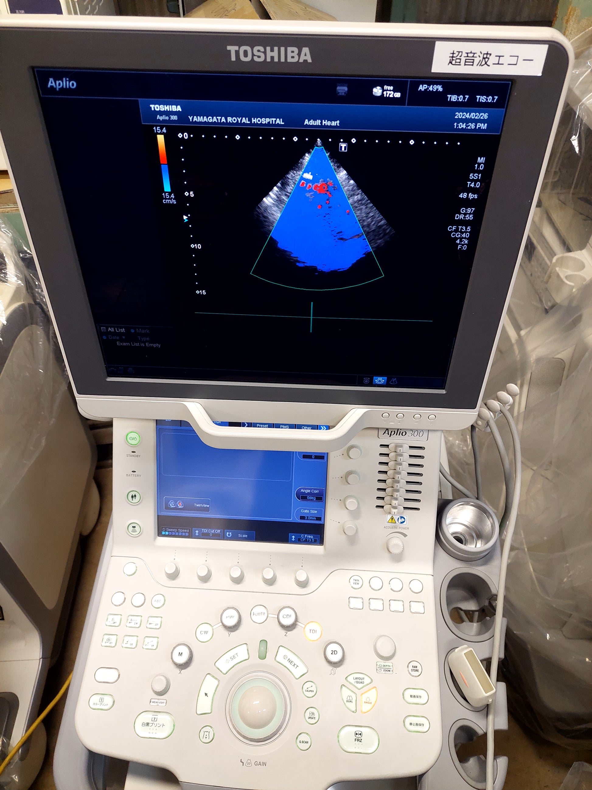 Toshiba Aplio 300 with Linear and cardiac probes. - Japan Medical Company LTD