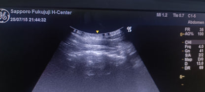 GE C1-5-RS 018 CHECKED NOT OK DXB