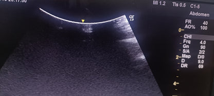 GE C1-5-RS 014 CHECKED NOT OK DXB