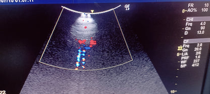 GE C1-5RS (3) CHECKED NOT OK DXB
