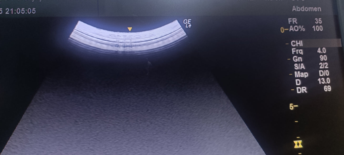 GE C1-5-RS 016 CHECKED OK DXB