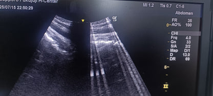 GE C1-5-RS 019 CHECKED NOT OK DXB