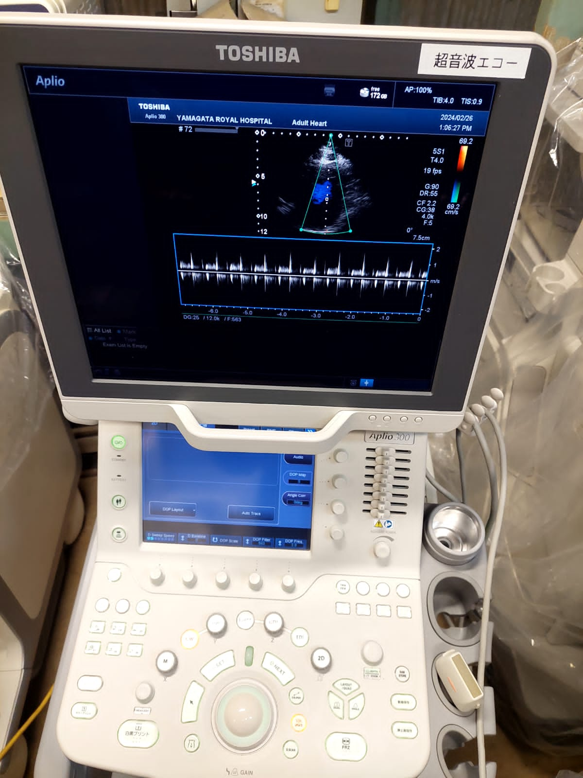 Toshiba Aplio 300 with Linear and cardiac probes. - Japan Medical Company LTD