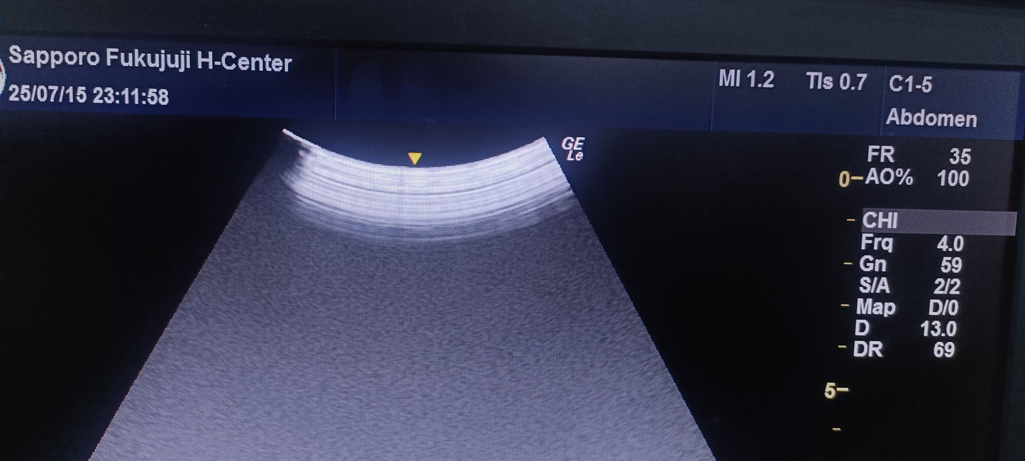 GE C1-5-RS 022 CHECKED OK DXB