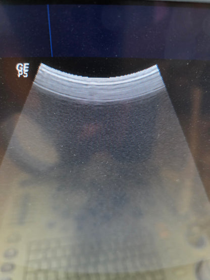 GE 4C probe for Logiq p5, p6 MFg : 2012 checked DXB
