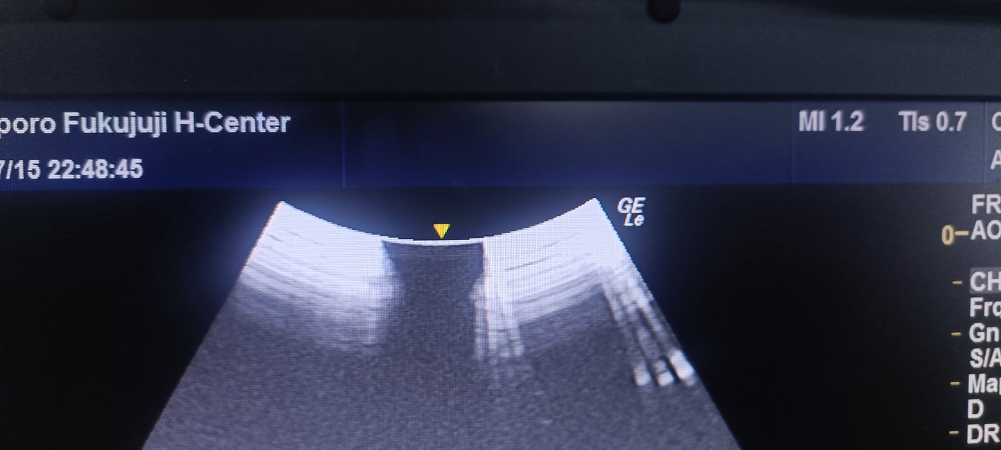 GE C1-5-RS 019 CHECKED NOT OK DXB