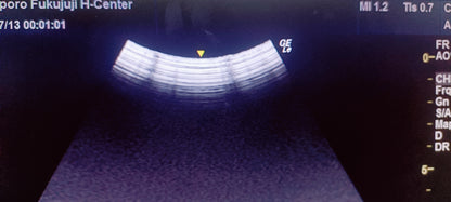 GE C1-5-RS 006 CHECKED NOT OK DXB