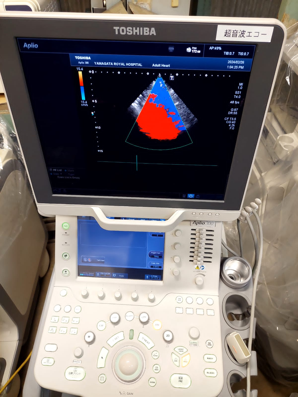 Toshiba Aplio 300 with Linear and cardiac probes. - Japan Medical Company LTD